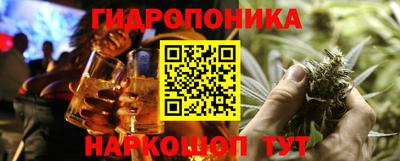 гидра Татарск