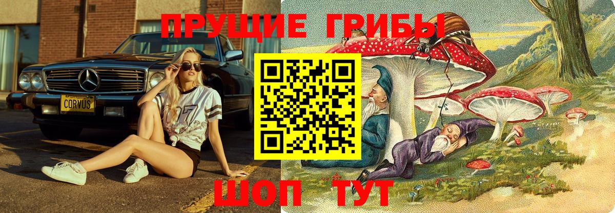 Псилоцибиновые грибы Magic Shrooms Всеволожск